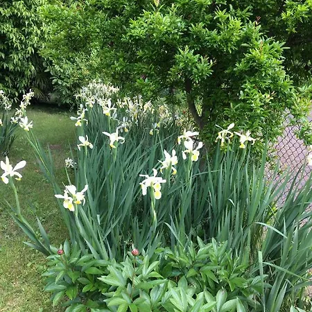 مزرعة للإقامة Da Ninoti تريفيزو