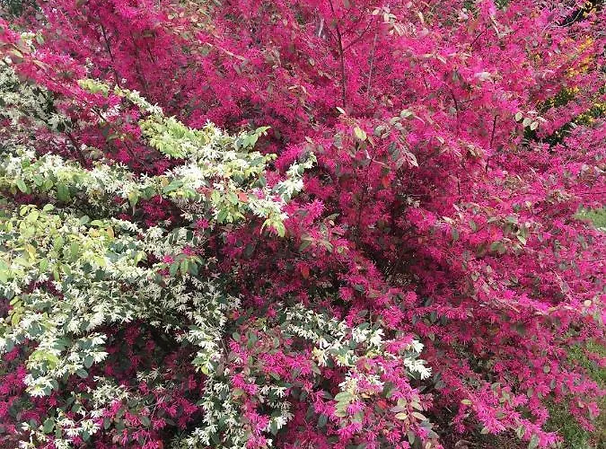 Gospodarstwo agroturystyczne Da Ninoti