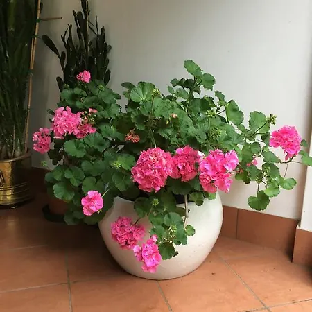 Da Ninoti Bauernhof